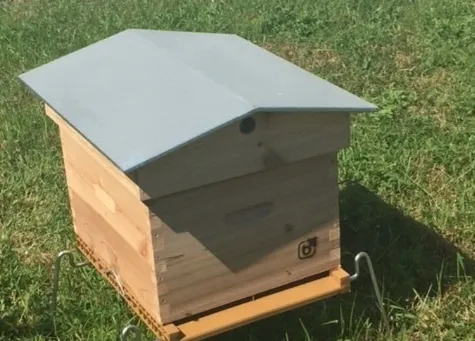 25000 nouvelles collaboratrices pour la biodiversité !